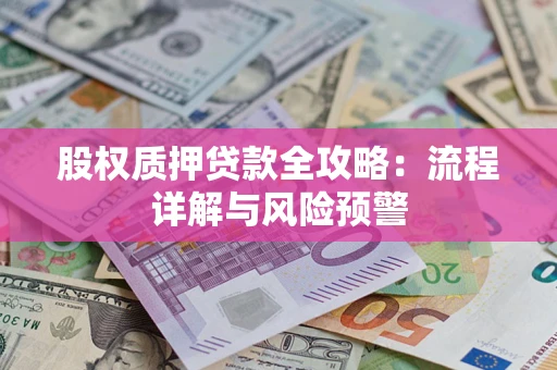 北京股权质押贷款全攻略：流程详解与风险预警