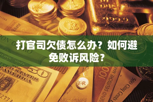北京打官司欠债怎么办？如何避免败诉风险？