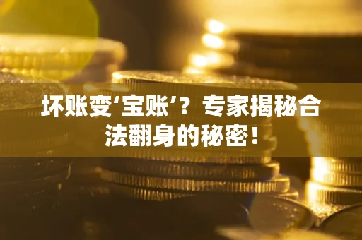 北京坏账变‘宝账’？专家揭秘合法翻身的秘密！