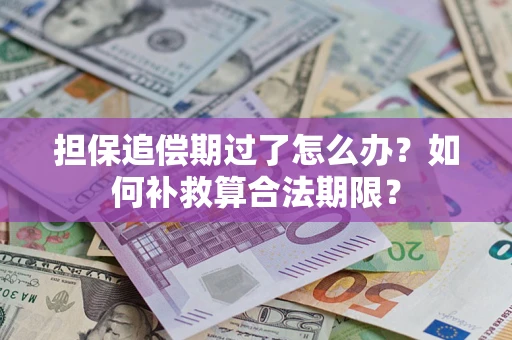 北京担保追偿期过了怎么办？如何补救算合法期限？