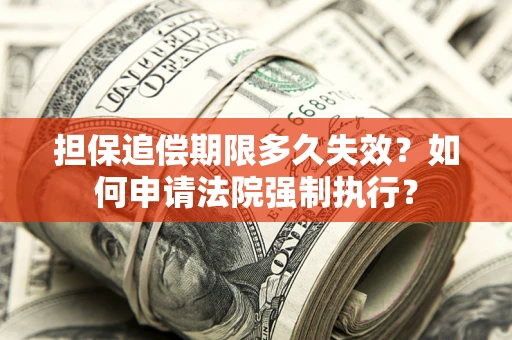 北京担保追偿期限多久失效？如何申请法院强制执行？